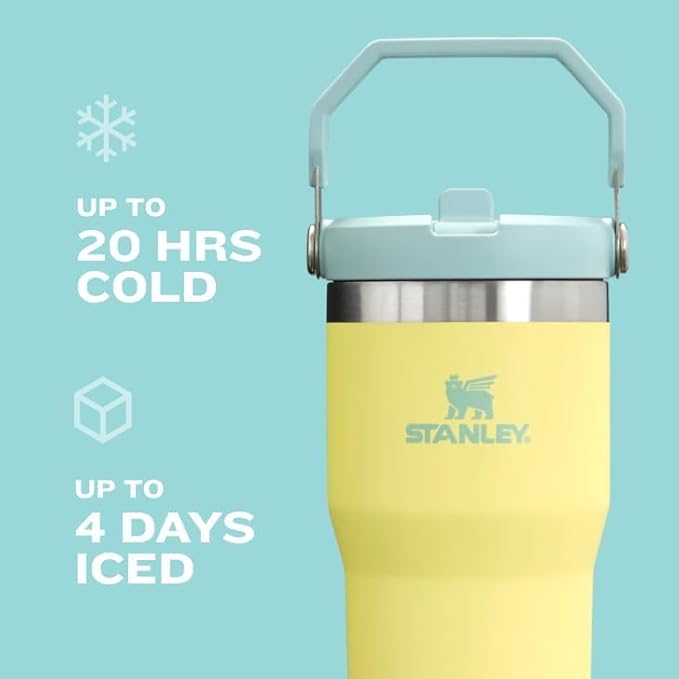 Stanley IceFlow 2.0 Flip Straw Tumbler with Handle 30 oz | Twist On Lid and Flip Up Straw | Leak Resistant Water Bottle | Insulated Stainless Steel | BPA-Free | Lilac