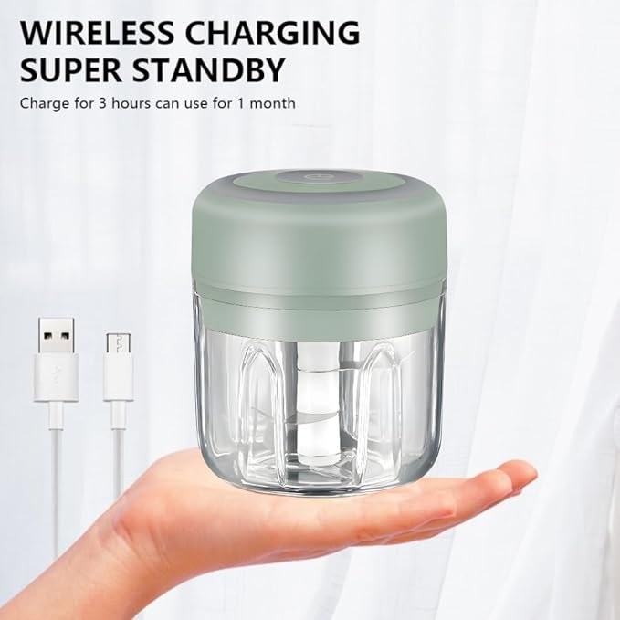 Green & White - Mini Electric Food Processor and Garlic Chopper - 250ML, USB Charging, 3 Blades - Perfect for Chopping Vegetable, Pepper, Onion, Garlic, Ginger, Spice, Meat, Baby Food, & More (Bundle)