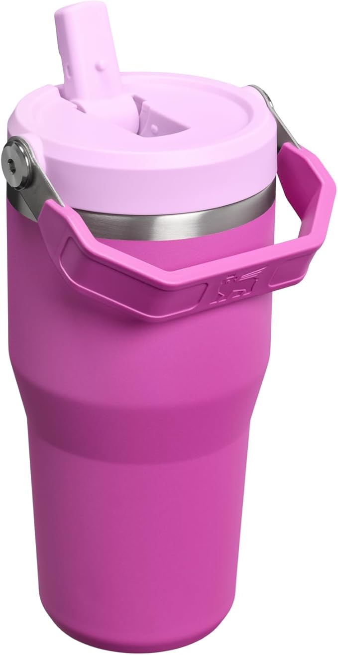 STANLEY IceFlow 2.0 Flip Straw Tumbler with Handle 20 oz | Twist On Lid and Flip Up Straw | Leakproof Water Bottle | Insulated Stainless Steel | BPA-Free | Dark Blossom