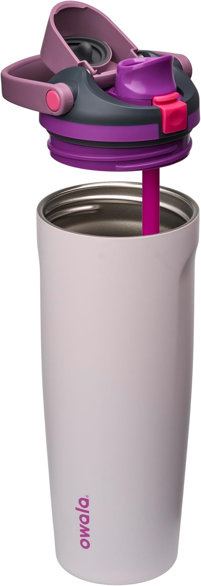 Owala FreeSip Sway Insulated Stainless Steel Water Bottle with Two-Way Spout, Built-In Straw and Bucket Handle, Made for Travel, School, and Sports, 30oz, BPA Free, Leak Proof, Dreamy Field