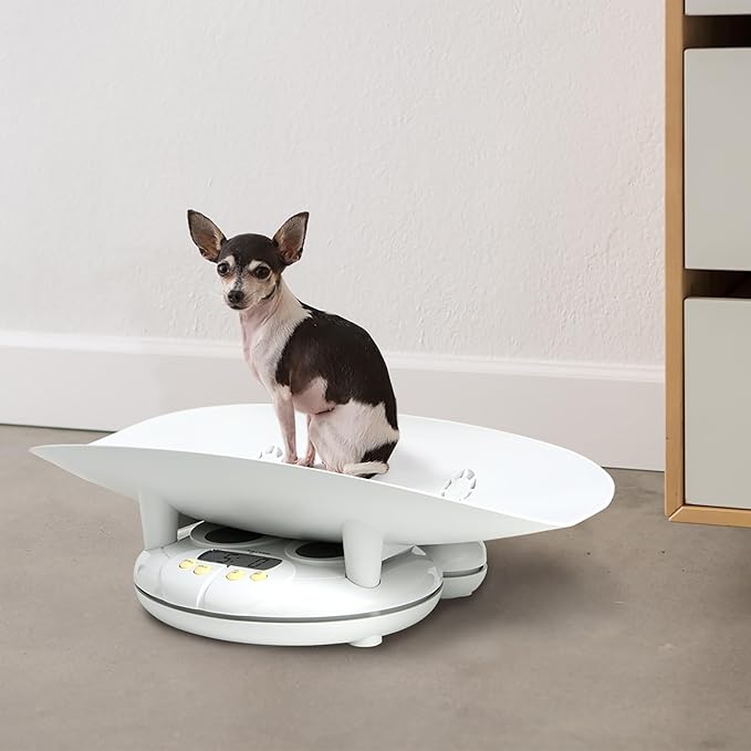 Salter Electronic Baby and Toddler Scale - Digital Infant Scale with Removable Tray, 44 lb Capacity, Hold Function and Zero Tare Feature for Accurate Weight Tracking