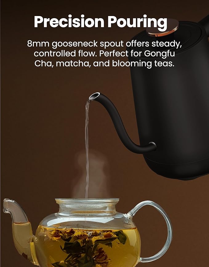 Vianté Electric Gooseneck Kettle with Precise Temperature Control. Pour Over Coffee & Tea Kettle. Boil-Dry Protection & Keep Warm Function. Stainless Steel, BPA-Free. Includes #2 Filters. 0.8L