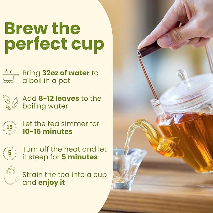TROPICAL TEAHOUSE 250+ Soursop Dried Leaves, 3oz Premium Graviola Leaves, 100% Pure Guanabana Leaves, Handpicked, Gluten Free, Caffeine Free, Sugar-Free
