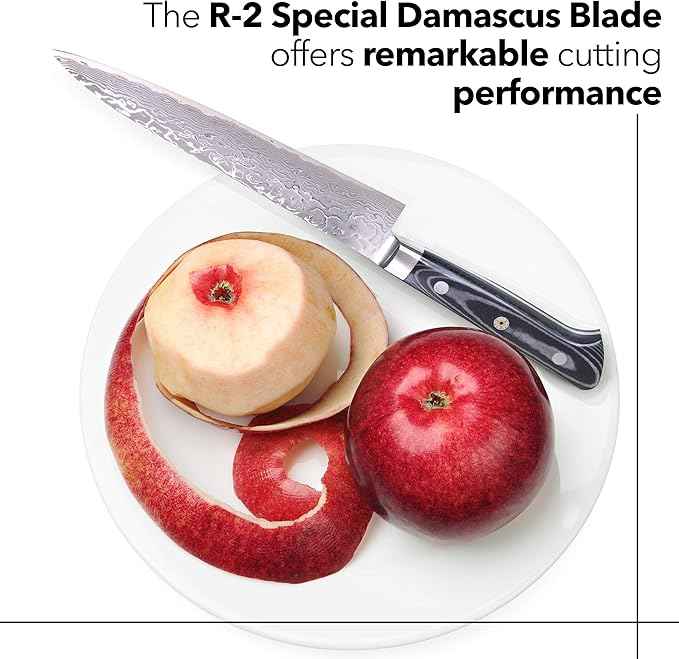 Kagayaki Japanese Chef’s Knife, KGR-1 Professional Petty Knife, Traditional Hammer Forged R-2 Damascus Steel with Ergonomic Linen Micarta Handle, 5.9 inch
