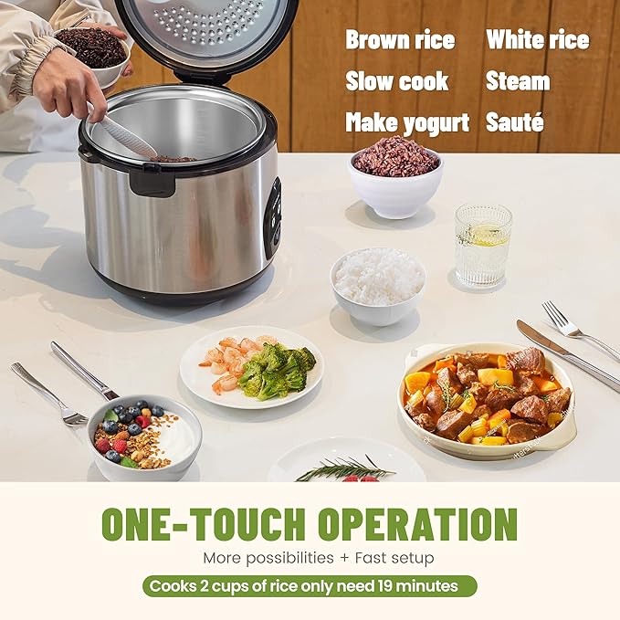 5-Cup Uncooked Rice Cooker, Electric One-Touch for Asian Japanese Sushi, Stainless Steel Inner Pot with Removable Lid & Steamer, Automatic Keep Warm, Silver