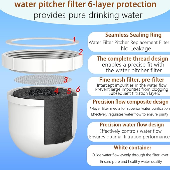 Water Pitcher Replacement Filter Compatible with Clearly Filtered Pitcher | 100-Gallon Long-Lasting, Fluoride & Heavy Metals Reduction, BPA Free, 2 Pack