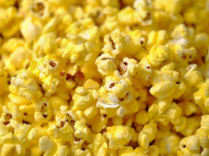 Amish Country Popcorn | 12 Pack Mixed Seasoning Bundle